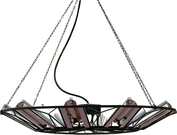 NOVELTY Alternative text - NOVELTY