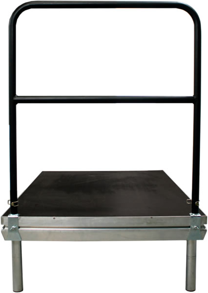 ASD Alternative text - ASD