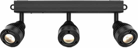 Chauvet Alternative text - Chauvet