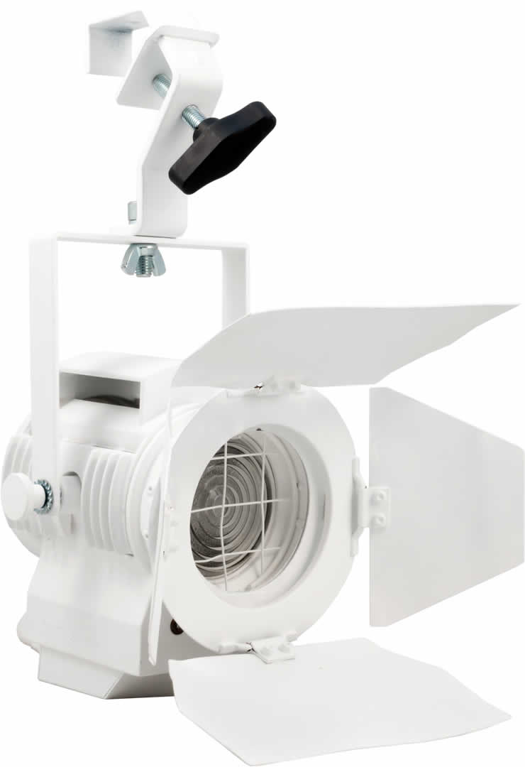 LTM Alternative text - LTM