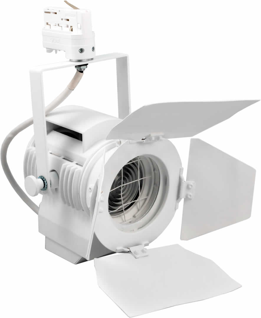 LTM Alternative text - LTM