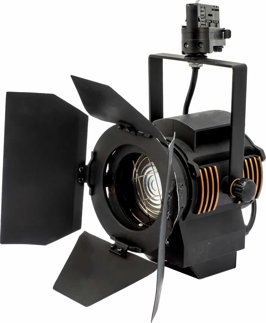 LTM Alternative text - LTM