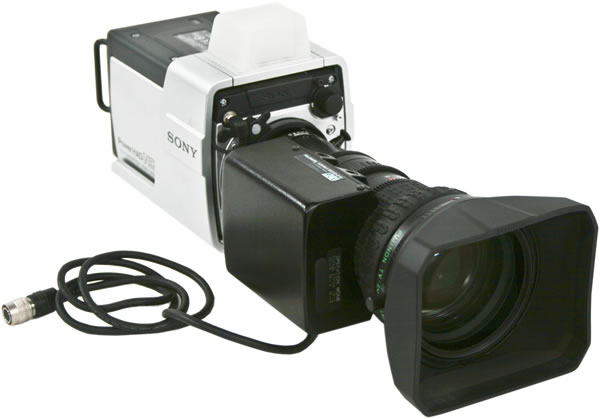 SONY Alternative text - SONY