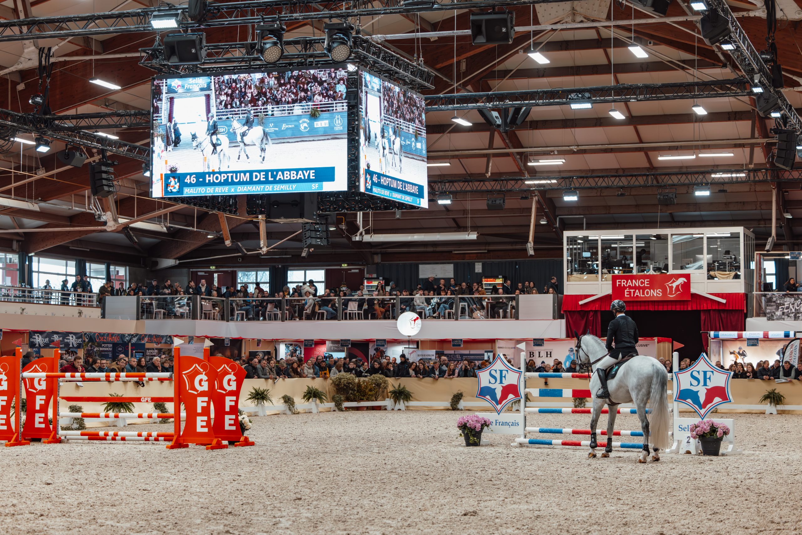 Alternative text - Salon des Étalons de Sport 2026